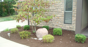 Williamson Lawn and Landscape Contact Image 2