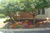 Williamson Landscape Possibilities