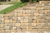 Williamson Landscape Possibilities
