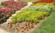 Williamson Landscape Possibilities