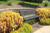 Williamson Landscape Possibilities